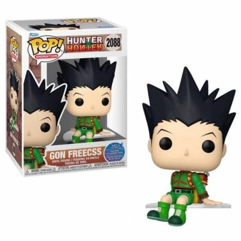 Funko Pop! Animation: Hunter X Hunter - Gon Freecss #2088 (FNK65333)