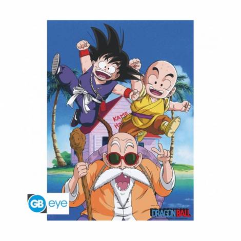 Abysse: Dragon Ball - Db/ Kame Team Chibi Poster (52X38) (ABYDCO392)