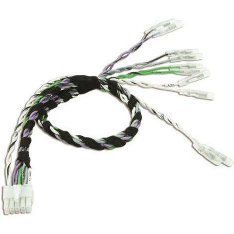 AUDISON - Prima AP SPK Out 5.9