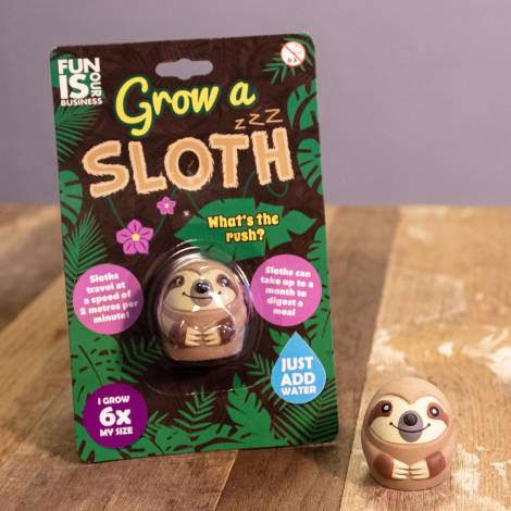 Boxer Gifts Grow A Sloth (BB5224)