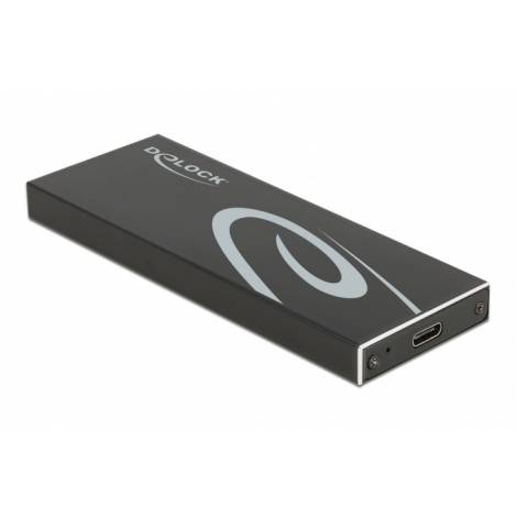 DELOCK θήκη για Μ.2 SATA SSD 42003, USB-C, 10Gbps, μαύρη