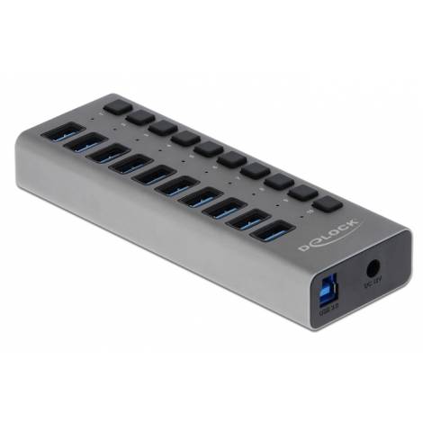 DELOCK USB hub 63670 με διακόπτες, 10x θυρών, 5Gbps, γκρι