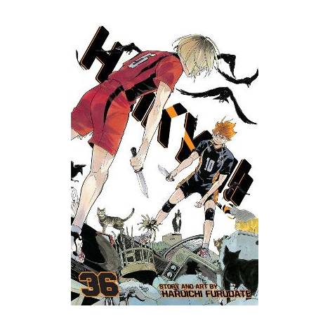 HAIKYU!!, VOL. 36  PA