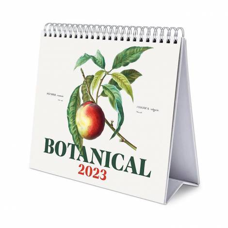 Ημερολόγιο Επιτραπέζιο Deluxe 2023 BOTANICAL 20Χ17 Τέχνη Μηνιαίο Πυραμίδα Ετήσια Botanical 2023