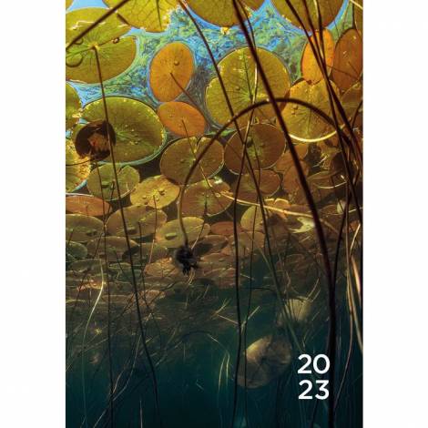 Ημερολόγιο Ετήσιο Εβδομαδιαίο 2023 Α5/15X21εκ BBC EARTH Green Planet 15X21 (Α5) Φύση Εβδομαδιαίο Στην τσάντα Ετήσια BBC 2023