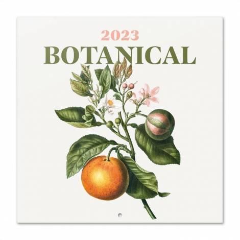 Ημερολόγιο Τοίχου 2023 30X30εκ. BOTANICAL 30Χ30 Φύση Μηνιαίο Τοίχου Ετήσια Botanical