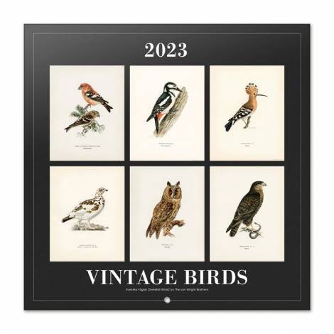 Ημερολόγιο Τοίχου 2023 30X30εκ VINTAGE BIRDS 30Χ30 Ζώα Μηνιαίο Τοίχου Ετήσια Vintage