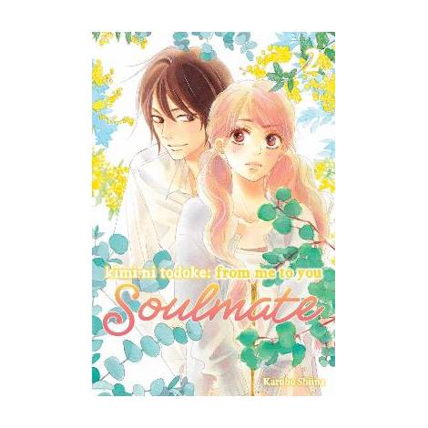 KIMI NI TODOKE: SOULMATE V2 PA