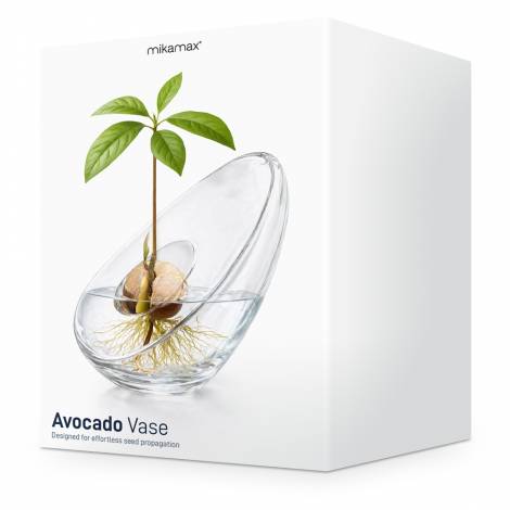 mikamax - Avocado Vase: Όταν το Design Συναντά τη Φύση