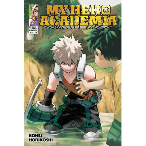 MY HERO ACADEMIA, VOL. 29