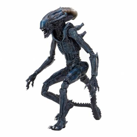Neca Alien  - Arachnoid Figure (18cm) (NEC51720)