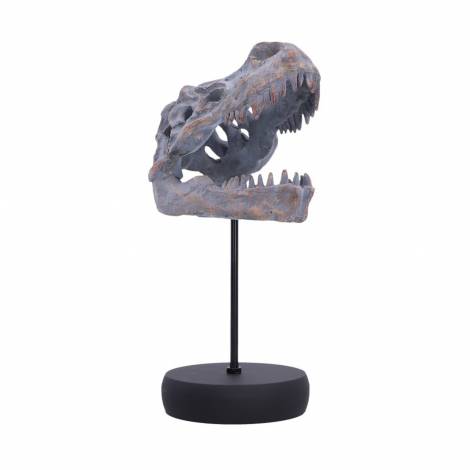 Nemesis Now: Tyrannosaurus Rex Skull on Plinth (D7553B26)