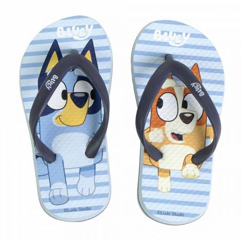 Παντόφλες Flip Flops από EVA BLUEY Μέγεθος 30/31