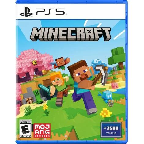 PS5 MINECRAFT