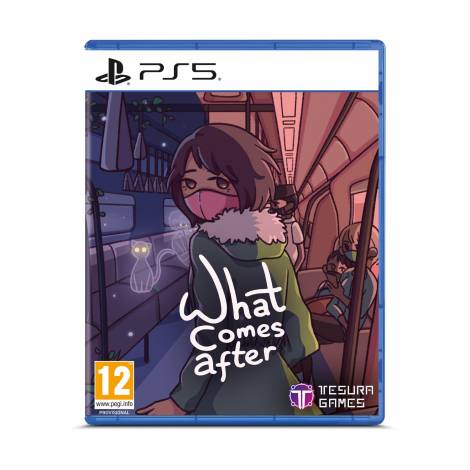 PS5 What Comes After