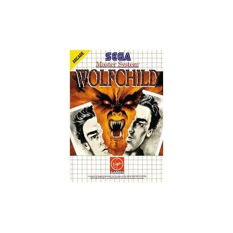 The Flash (SEGA MASTER SYSTEM)