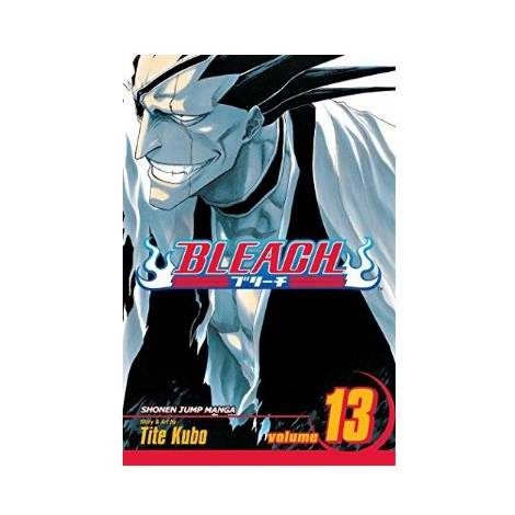 Viz Bleach Vol. 13 Paperback Manga