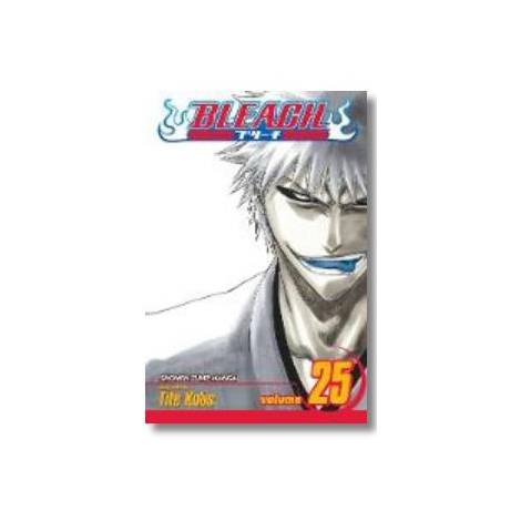 Viz Bleach Vol. 25 Paperback Manga