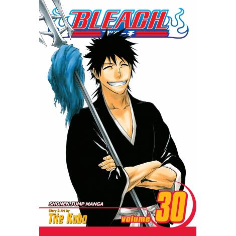 Viz Bleach Vol. 30 Paperback Manga