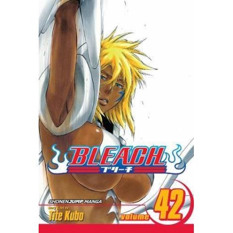 Viz Bleach Vol. 42 Paperback Manga