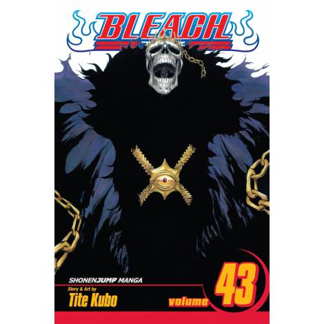Viz Bleach Vol. 43 Paperback Manga