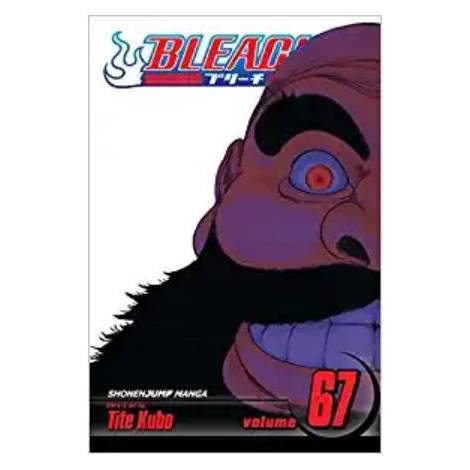 Viz Bleach Vol. 67 Paperback Manga