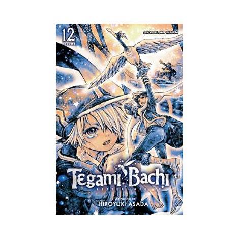 Viz Tegami Bachi GN Vol. 12 Paperback Manga