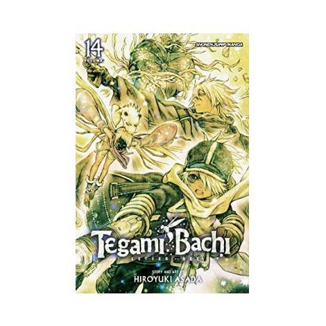 Viz Tegami Bachi GN Vol. 14 Paperback Manga