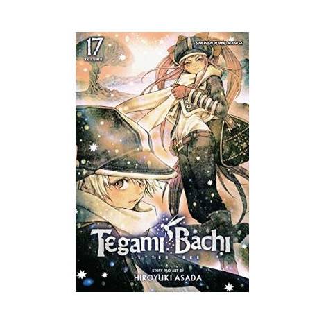 Viz Tegami Bachi GN Vol. 17 Paperback Manga